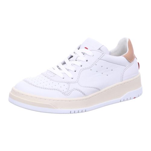 LLoyd Damen Schnürschuhe Sangi 4061694045834, 4061694045841, 4061694045858, 4061694045865, 4061694045872, 4061694045827 LOY-13-820 OFFWHITE/PRALINE 40