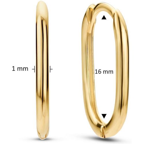 Jackie Gold Jackie JKE22.256 Dames Oorringen Goud - 17mm JKE22.256 Ohrringe