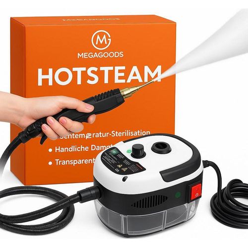 Dampfreiniger Hochtemperatur Sterilisation für Auto Küche Haushalt DE.