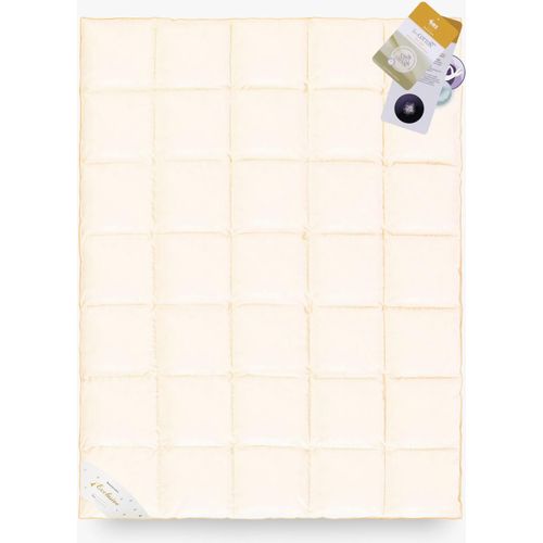 Bettdecke GÄNSEDAUNEN 70% 220x200 Basic Plus 2000g PREMIUM creme