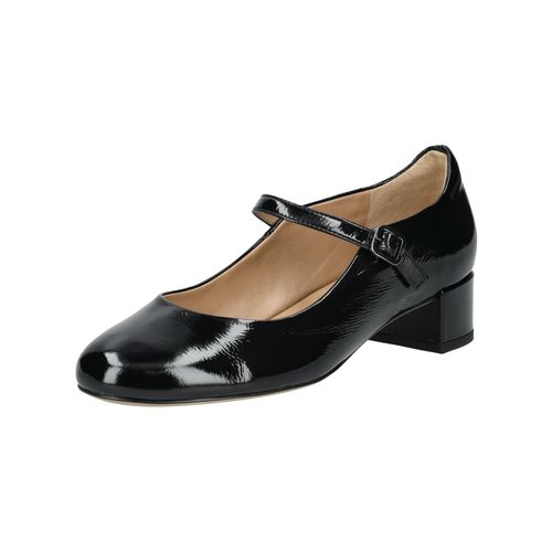 Pumps HÖGL 