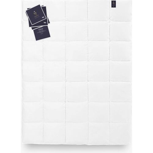 Bettdecke Gänsedaunen 100% 155x200 QUEEN 490g Exklusiv
