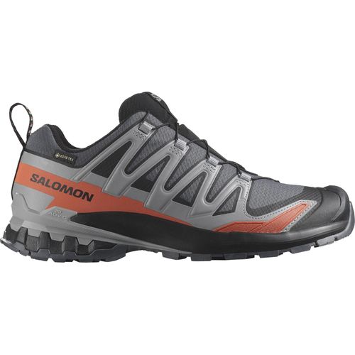 Salomon XA PRO 3D V9 GTX Turbulence/Black/Burnt Ochre 9