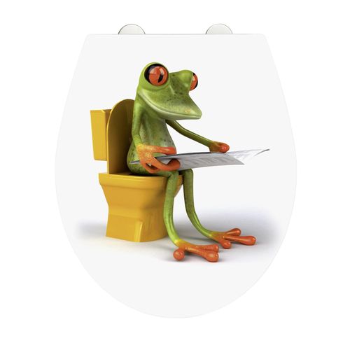 WC-Sitz FROG NEWS