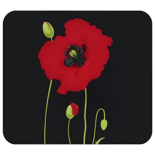 Multi-Platte MOHN Image