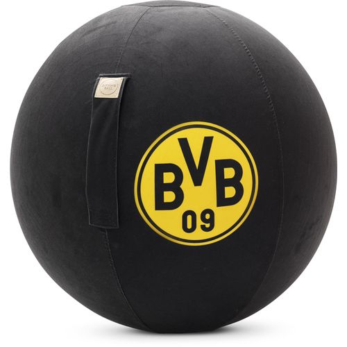 Sitzball BVB 09