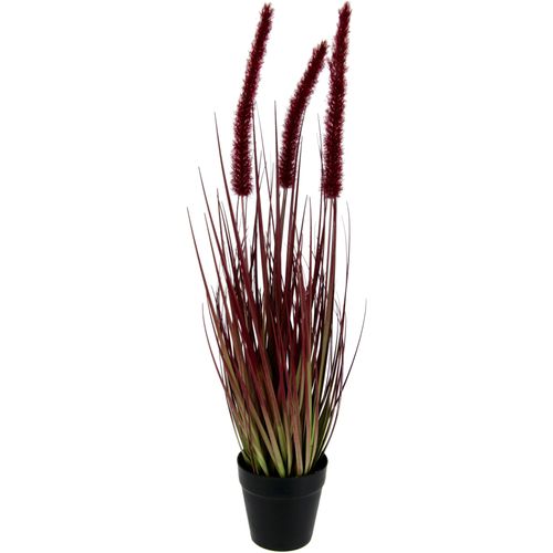 Kunstpflanze I.GE.A. "Fuchsschwanzgras", rot, B:12cm H:53cm, Obermaterial: 90% Kunststoff, 10% Polyester, Kunstpflanzen, Kunstpflanze, Im Topf