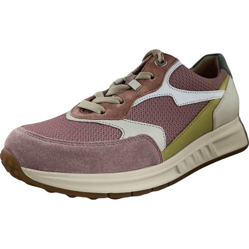 Gabor (0) Komfort Schnürschuhe KAPSEL-KOLL Damen 31353532353931 Bunt 38 EU