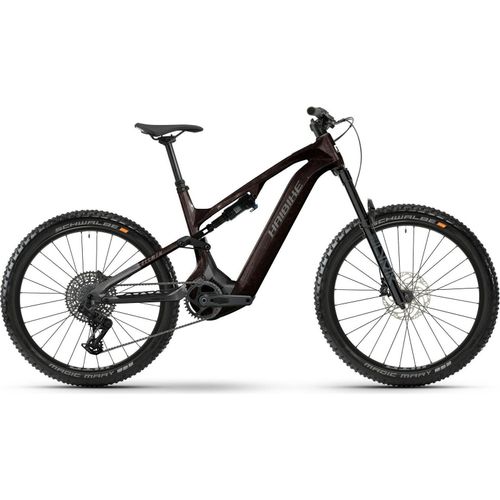 Haibike ALLMTN CF 9 black/platinum glänzend 29