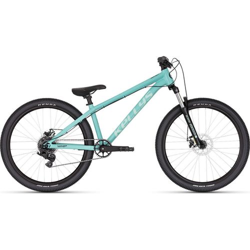 Kellys Whip 10 DX Mineral teal 26