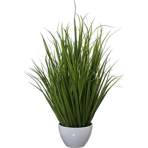 Miscanthus, in Kunststoffschale, Höhe 960 mm kaiserkraft