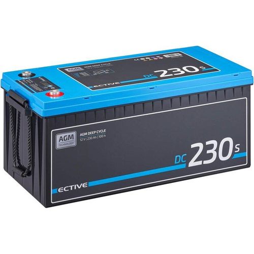 ECTIVE DC 230S AGM Deep Cycle mit LCD-Anzeige 230Ah Versorgungsbatterie - 0% nach §12 Abs. 3 UstG