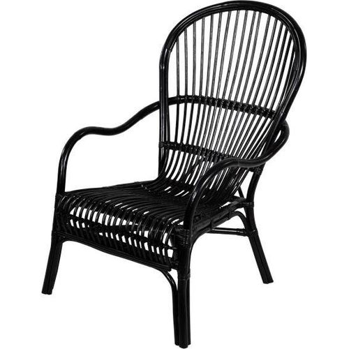Garten-Loungesessel - 100x85x66 cm - Rattan - Schwarz