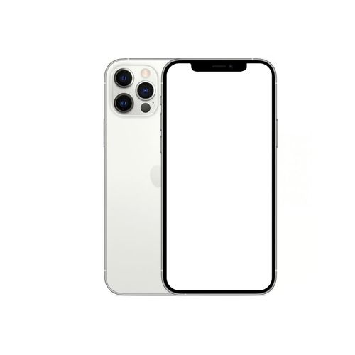 iPhone 12 Pro 256GB - Silber - Ohne Vertrag