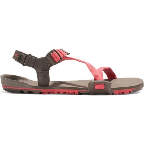 Schuhe Xero Shoes Z-trail Ev TTWSCMRW