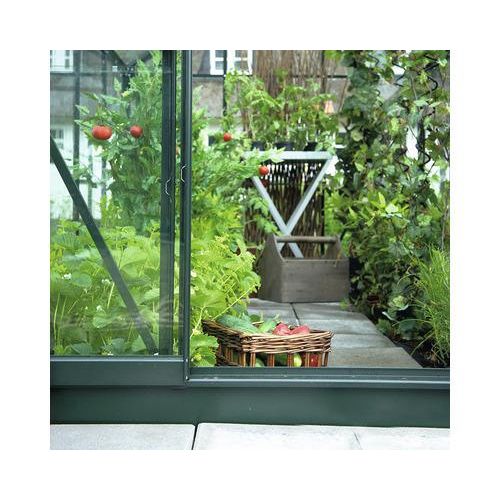 Gewächshaus Halls Popular 66 Sicherheitsglas 3 mm 193 x 319 cm grün