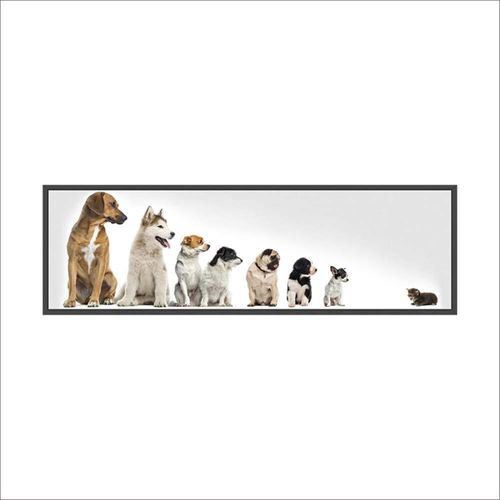 SWEETQT Hunde wach Katze Wandaufkleber PVC Dekoration