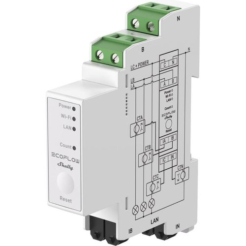 EcoFlow x Shelly Smart Meter