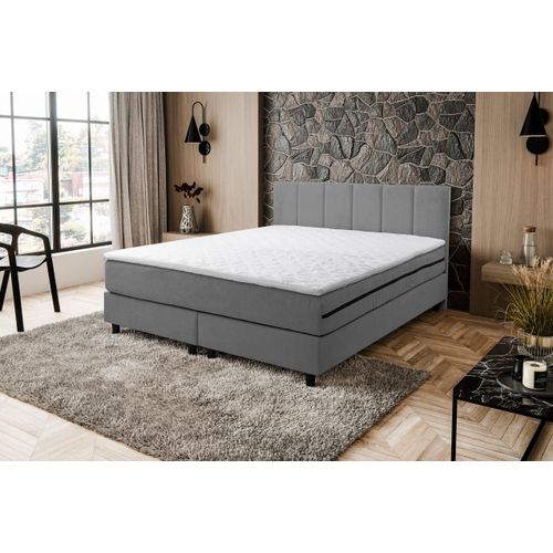 VENASI PARIS Boxspringbett 180x200 mit H3 Matratze GRAU Polsterbett Doppelbett