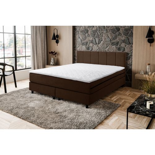 VENASI PARIS Boxspringbett 140x200 mit H3 Matratze BRAUN Polsterbett Doppelbett