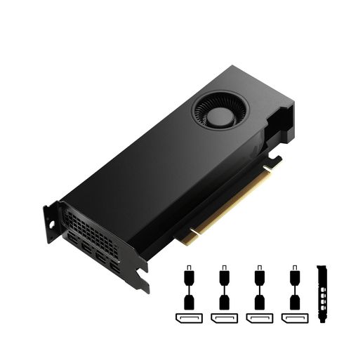 PNY NVIDIA RTX 4000 SFF Ada Generation - Grafikkarten