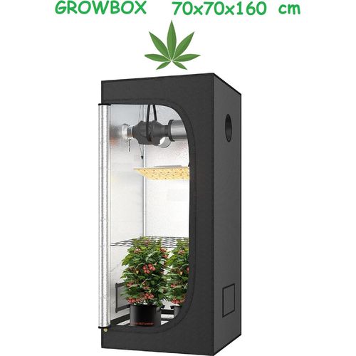 JUNG Growbox Growzelt Indoor 70x70x160cm Premium Mylar 97% reflektierend, Hydroponisches System, Gewächshaus Cannabis Balkon, Wasserdicht, Grow Tent