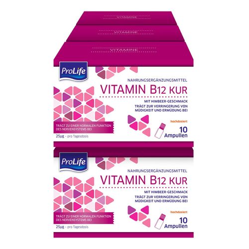 Pro Life Ampullen B 12 Vitamin Kur 10 Stück 80 ml, 6er Pack