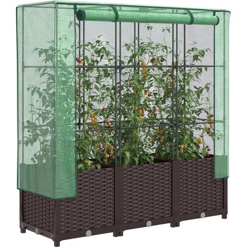 Hochbeet mit Gewächshaus-Aufsatz Rattan-Optik 120x40x138 cm