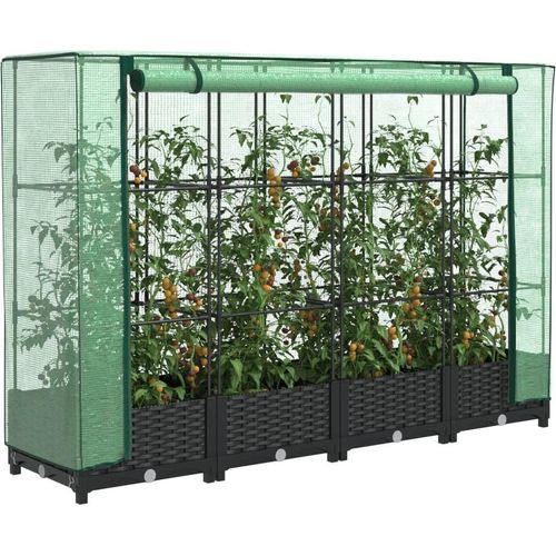 Hochbeet mit Gewächshaus-Aufsatz Rattan-Optik 160x40x123 cm