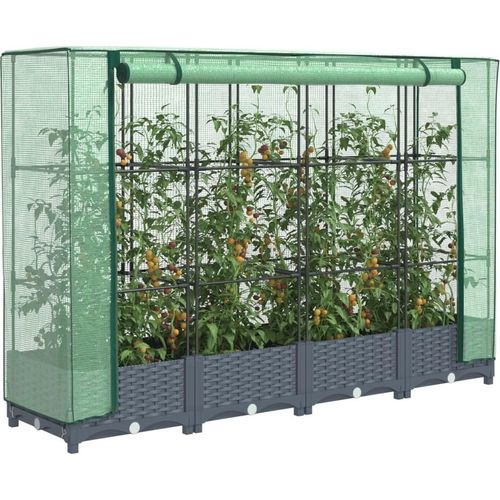 Hochbeet mit Gewächshaus-Aufsatz Rattan-Optik 160x40x123 cm