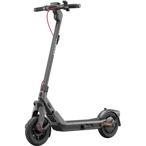 Segway eKickScooter Ninebot E3 D E-Scooter, Farbe:Grau