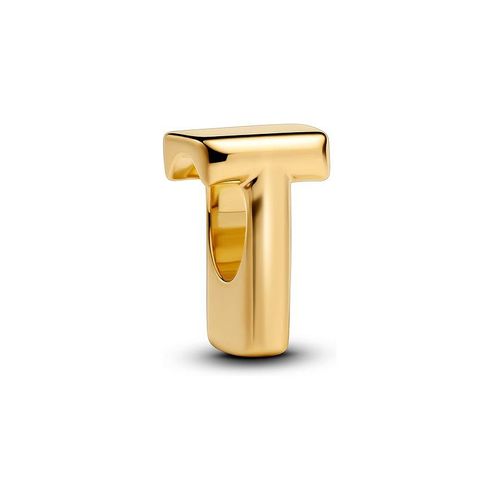 Pandora Charm Moments 763966C00