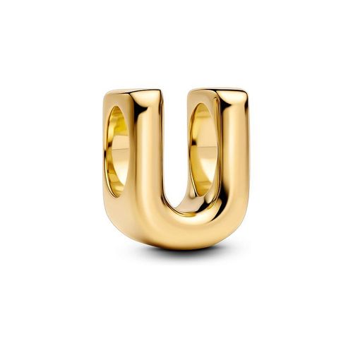 Pandora Charm Moments 763967C00