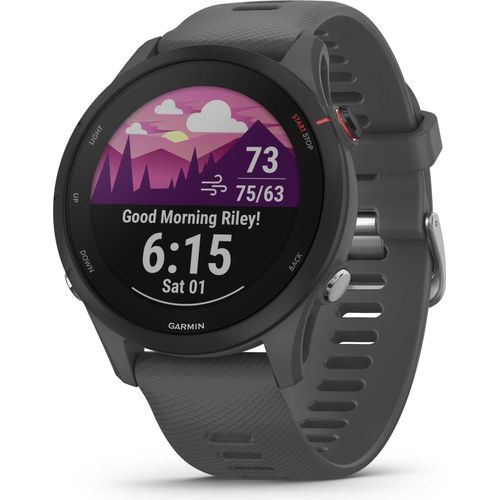 Garmin Forerunner 255 schiefergrau/schwarz