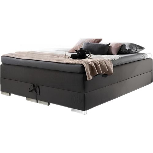 Polsterbett Bettten Bett Polster Ehe Leder Textil Designer Doppel XXL Big Barock