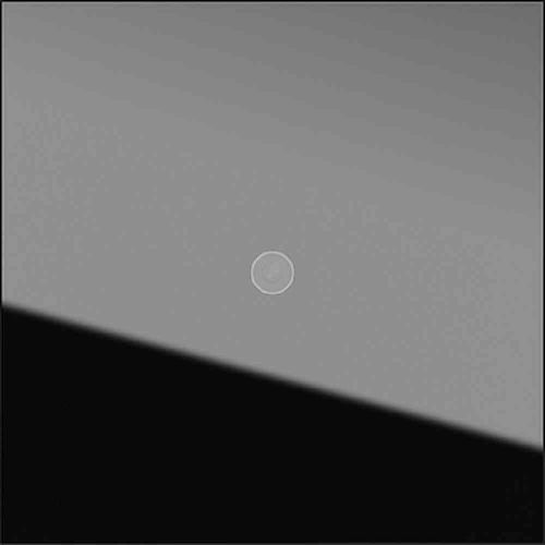 GIRA 5561000 Produkttyp: Kameramodul, Produktfarbe: Schwarz, Markenkompatibilität: GIRA