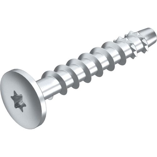 Brandschutz-Schraubanker Panhead Antrieb T (3498261)