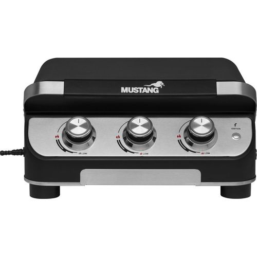 Gasgrill Platte 3