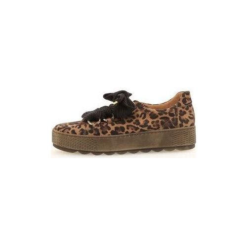 Comfort Basic 36.536.90 savanne Elegante Schnürer HW 19/20, Spocc:4