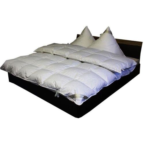 Betten Hofmann Premium 8cm Hochsteg Daunenbett Daunendecke 200x200 cm 100% pilsner Gänseflaum