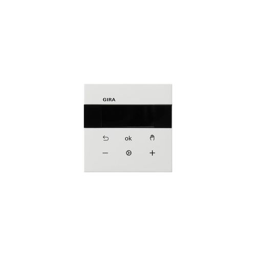 Gira RTR Display 5393112