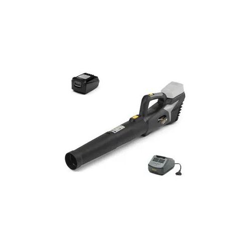 Akku-Axialgebläse Alpina AB 20 Li Kit