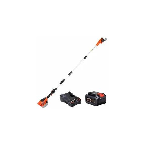 Echo DPPF-310 40V - Akku-Hochentaster - 2Ah/40V