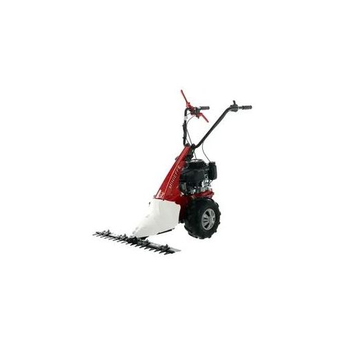 Motormäher Minieffe RM Eurosystem mit Motor Loncin 196