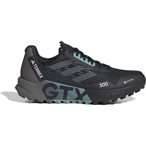 Schuhe Adidas Terrex Agravic Flow 2.0 Gtx HR1145