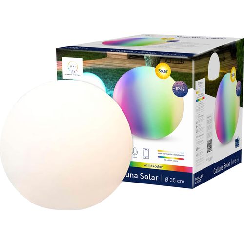TINT Müller-Licht Solar LED-Gartenleuchte Calluna, Ø 35 cm, RGB+W