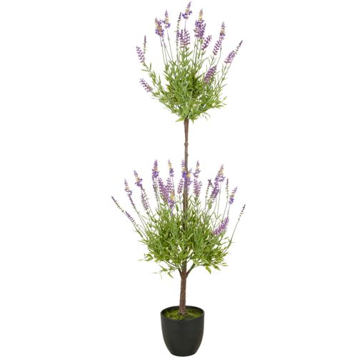 Creativ green Kunstpflanze »Lavendel«, mit filigranen Lavendelbüten