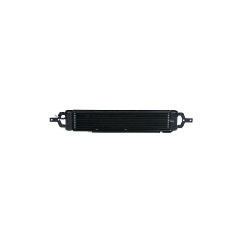 NRF Ölkühler MINI 31809 PFZ500030,17221475586 Ölkühler, Motoröl