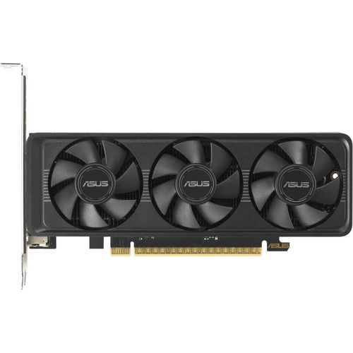 GeForce RTX 5060 LP BRK OC 8 GB, Grafikkarte
