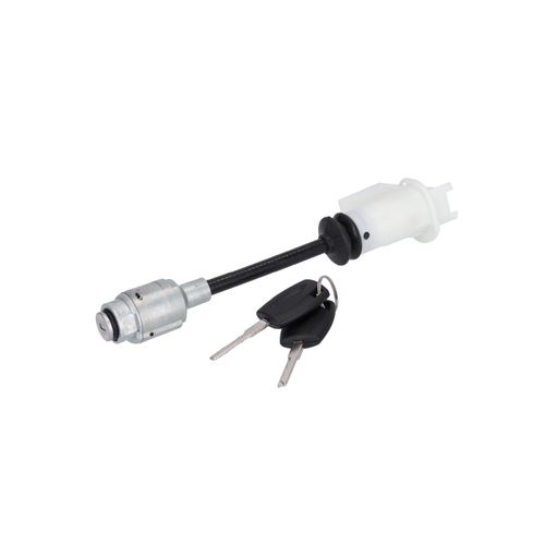 FEBI BILSTEIN Schließzylinder FORD 196529 1343577S,4M5AA16B970BAS